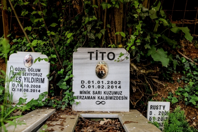 Hayvanseverler evcil hayvan mezarlığında kaybettikleri dostlarını ziyaret edebiliyor